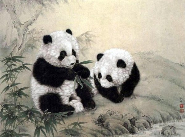 Китайская гохуа Панда