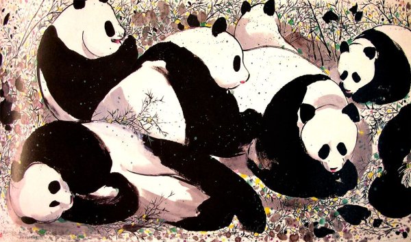 Птица Панда