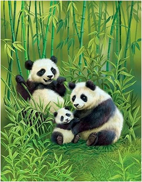 Картины с пандой и бамбуком