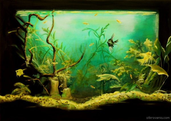 Аквариум маслом