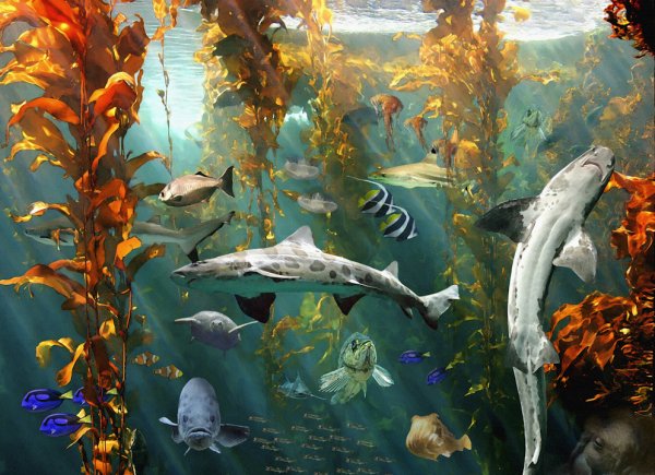 Океанариум живопись