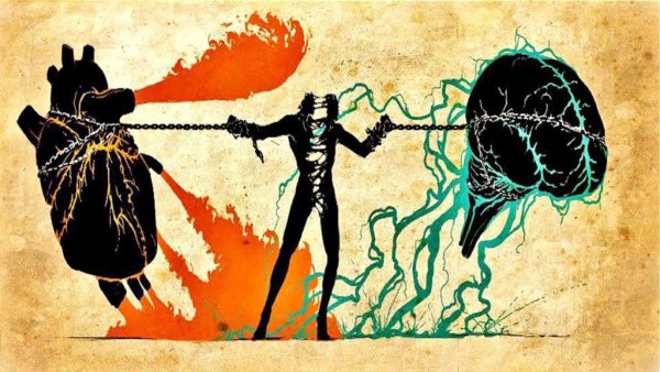 Обои мозг и сердце