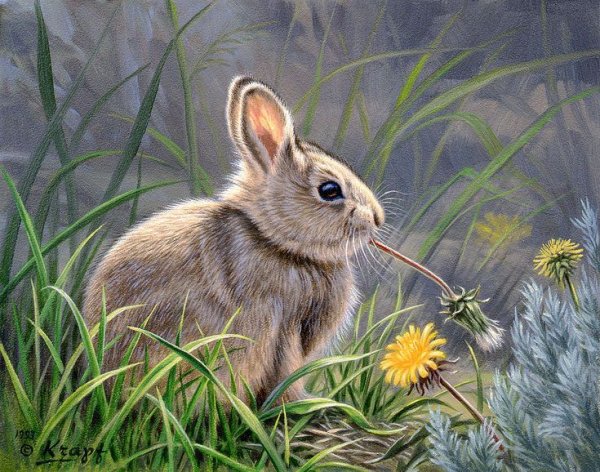 Художник Paul Krapf.