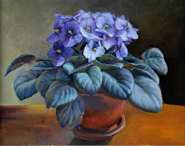 Узамбарская фиалка в живописи