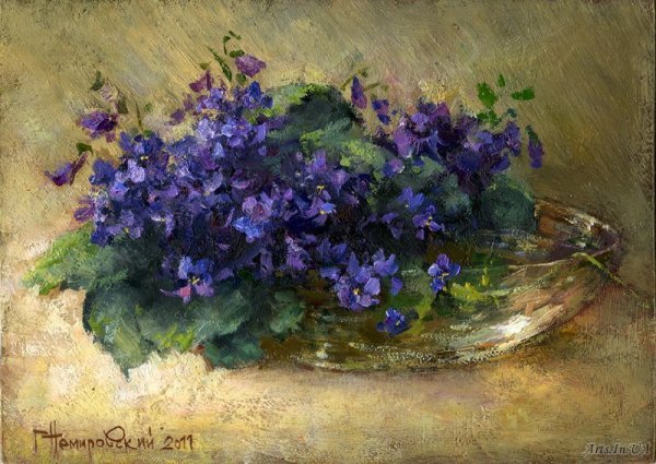 Крачковский фиалки