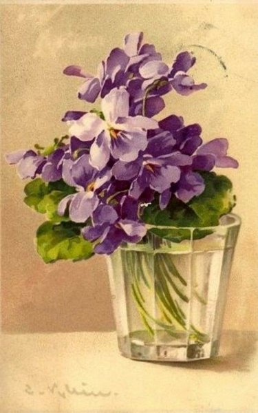 Катарина Кляйн фиалки