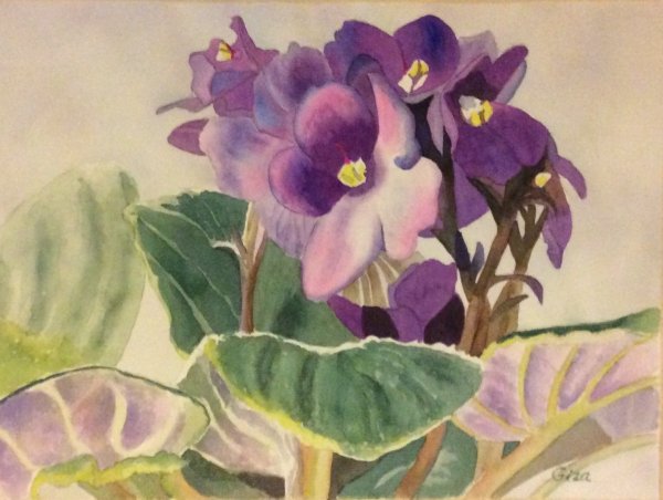 Узамбарская фиалка в живописи