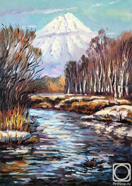 Шохин художник Камчатки