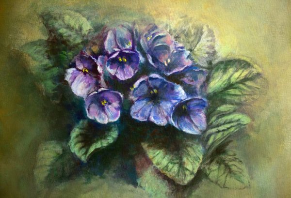 Узамбарская фиалка акварелью