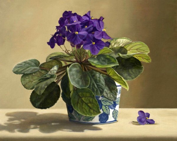 Художник Donna surprenant.