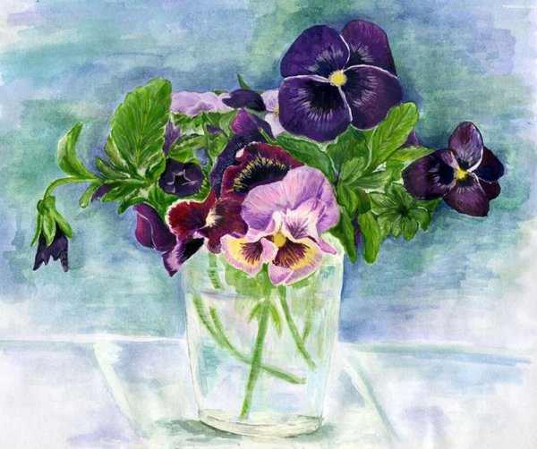 Фиалки Виола Анютины глазки картины живопись