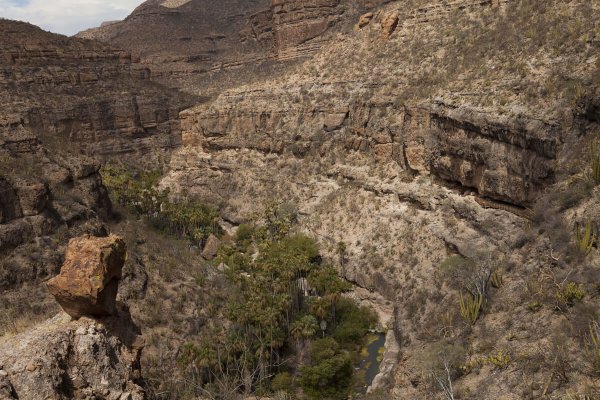 Наскальная живопись в горах Сьерра -де -Сан -Франсиско, Мексика
