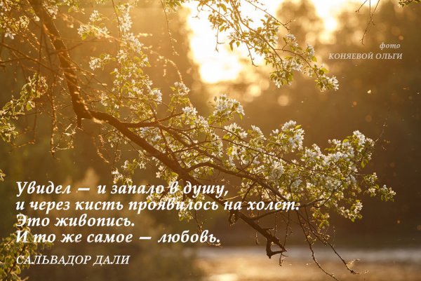 Цитаты художников