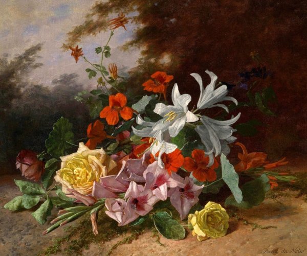 Ян Ван хейсум мальвы