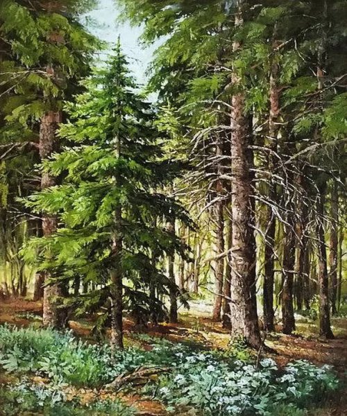 Шишкин хвойный лес