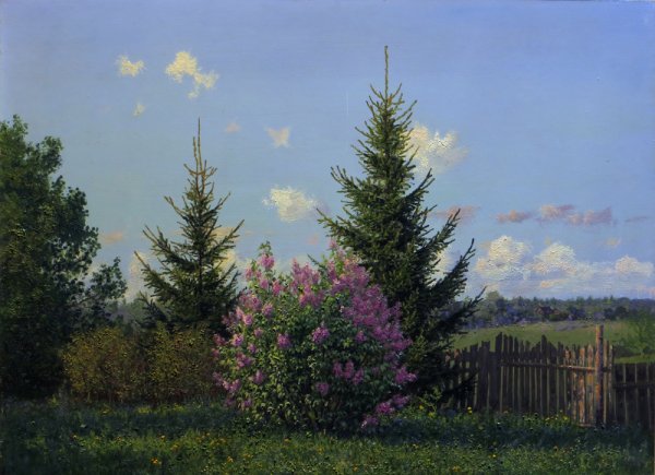 Геннадий Проваторов (1957 - 2012)