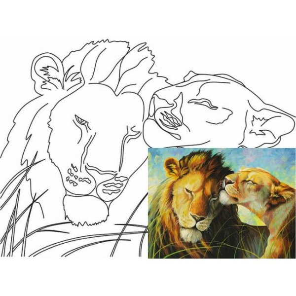 Картина контур