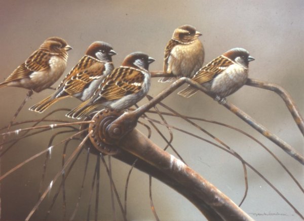 Птицы живопись маслом