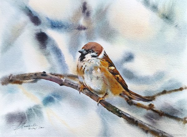 Мария Павлова Воробей