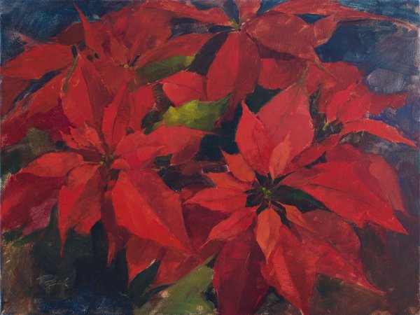 Пуансеттия маслом