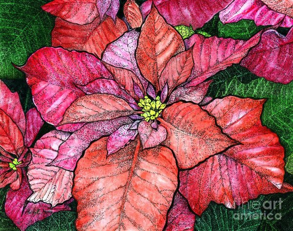 Марья Искусница пуансеттия