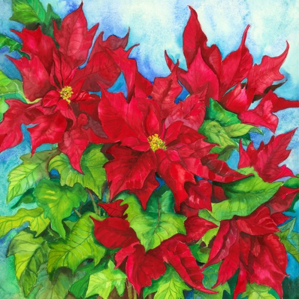 Художница Joanne Porter