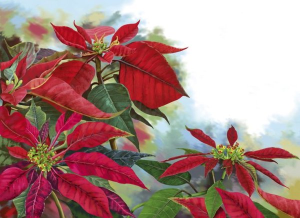 Елена Доведова художник картины