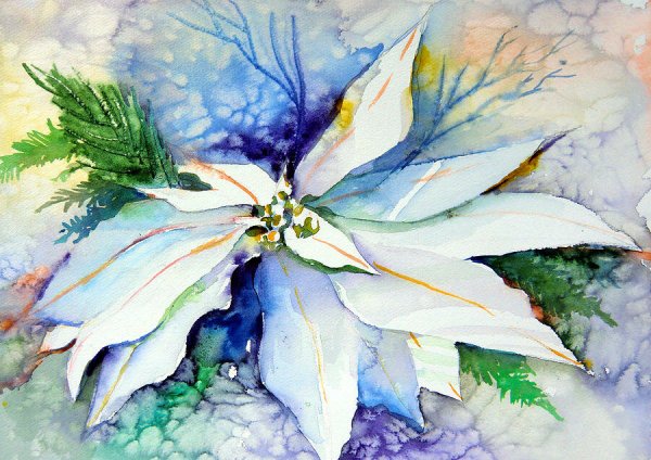 Пуансеттия картина маслом