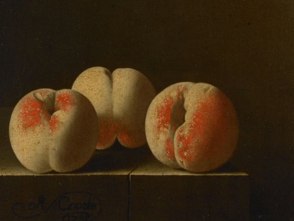 Адриан Коорт картины художник