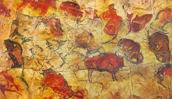 Пещера Альтамира в Испании наскальные рисунки