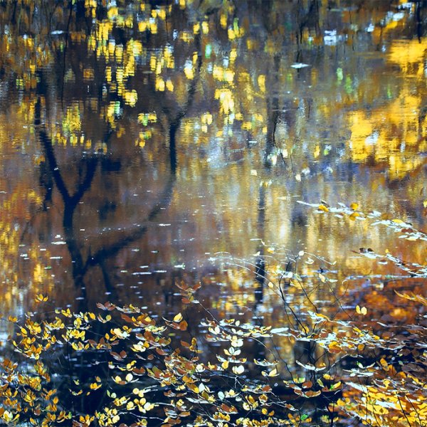 Дождливая осень живопись