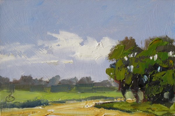 Этюды природы маслом