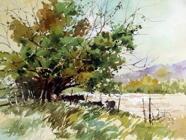 Акварели Карла Перселла