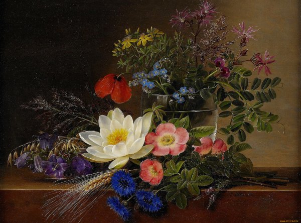 Натюрморт Johan Laurentz Jensen