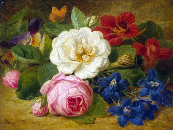 Иозеф Лаунер