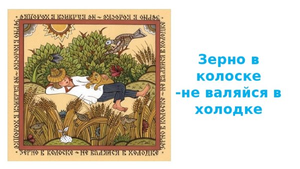 Коллаж пословицы и поговорки