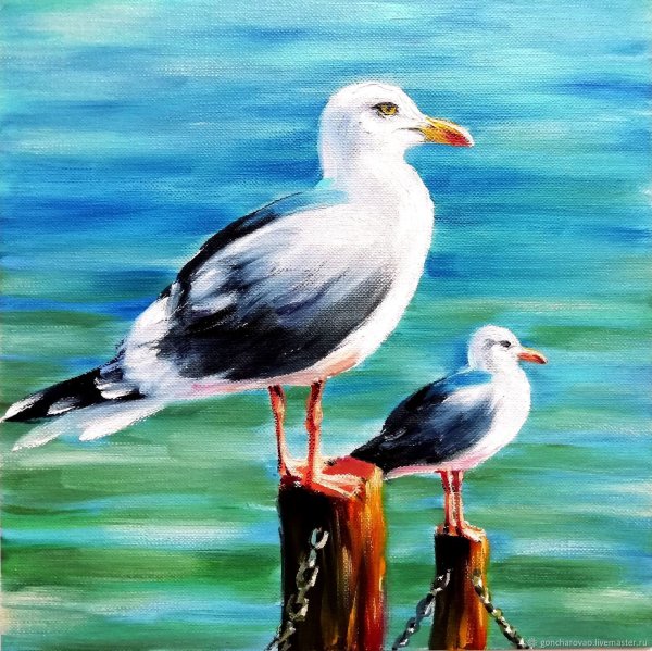 Чайка картина маслом