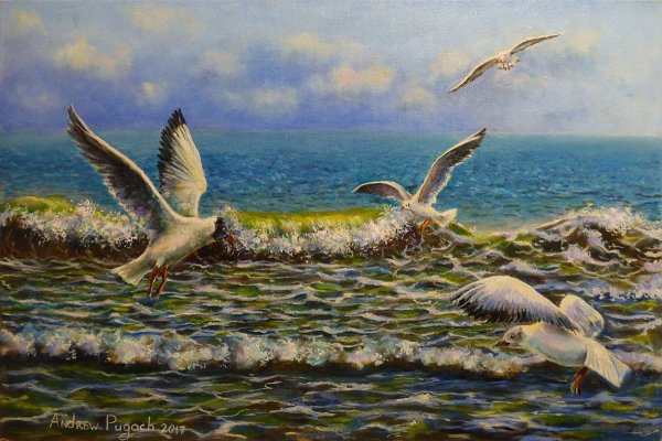 Живопись птицы в полете