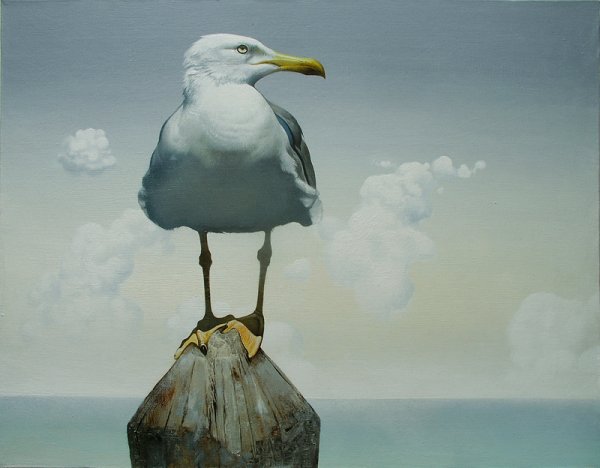 Чайки живопись