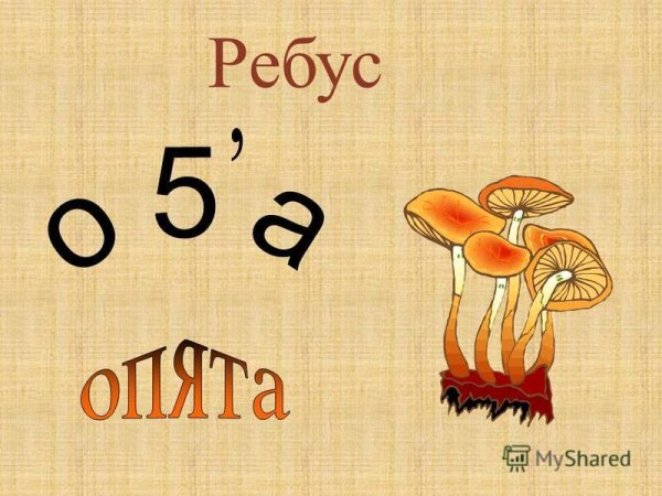 Правовые ребусы