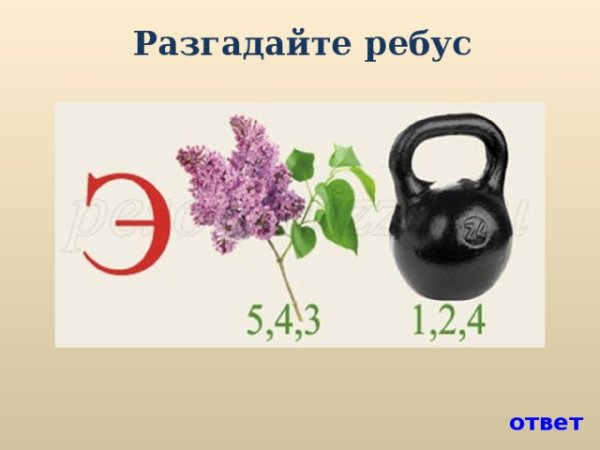 Прикольные ребусы в картинках