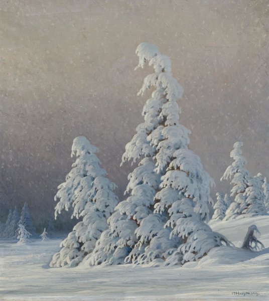 Заснеженные ели живопись