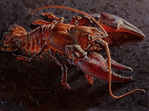 Лобстер живопись