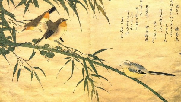 Японская живопись Ива и Соловей хокку