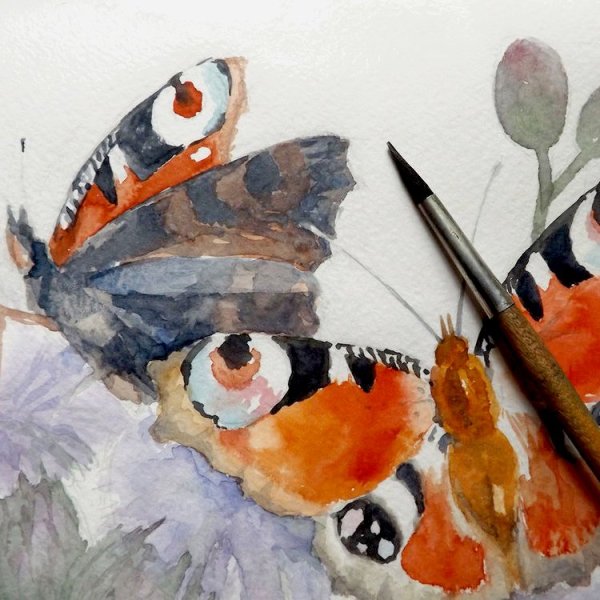 Акварель и цветные карандаши