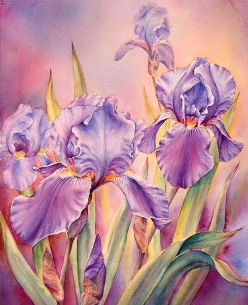 Marianne Broome картины ирисы