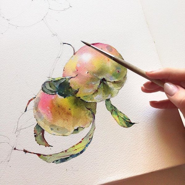 Акварельные карандаши техника рисования