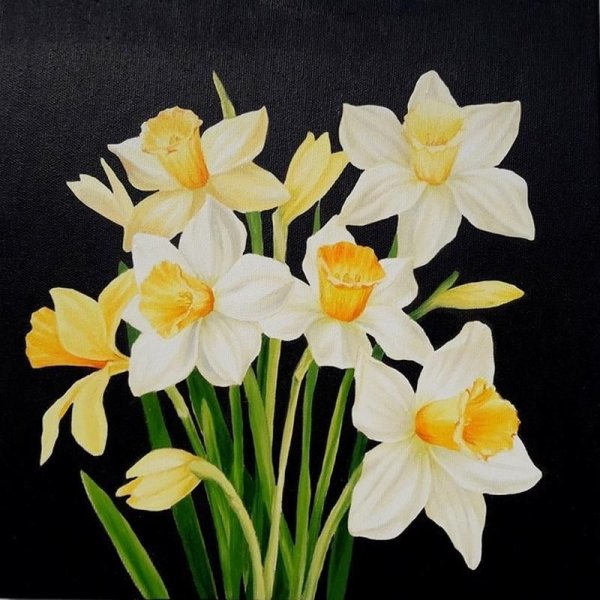 Репродукция Декарт нарциссы