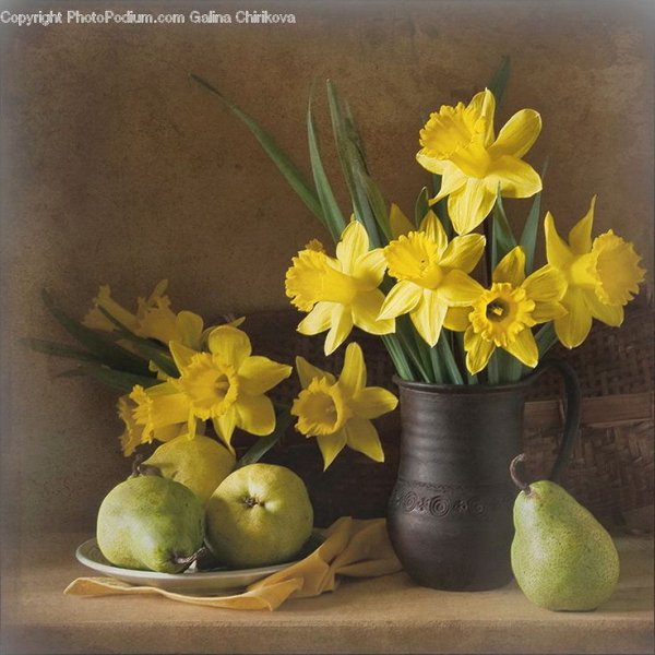 Художник Шелухин нарциссы