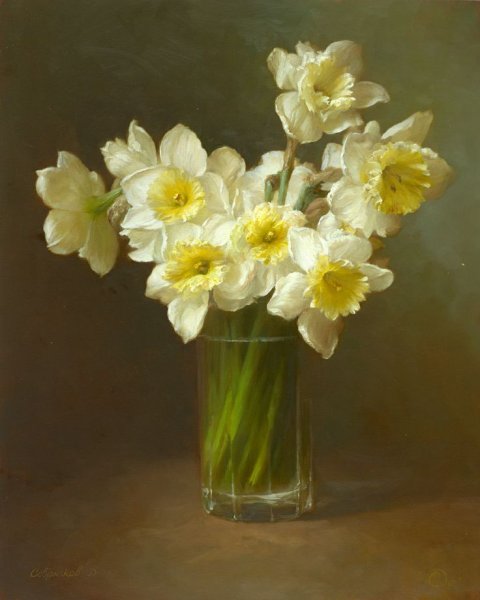 Anne Cotterill нарциссы